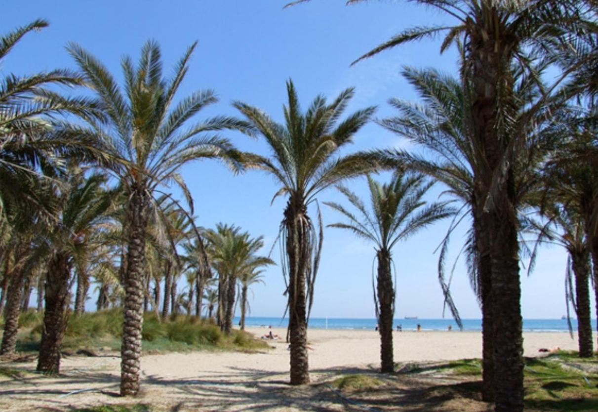 Nuevo En Calle Useras Castellón de la Plana Dış mekan fotoğraf
